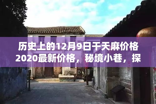 揭秘歷史麻價(jià)傳奇，探尋秘境小巷中的千年麻制品源頭與干天麻最新價(jià)格動態(tài)（XXXX年）