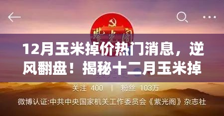 揭秘十二月玉米掉價(jià)背后的故事，逆風(fēng)翻盤，成就無(wú)限可能！