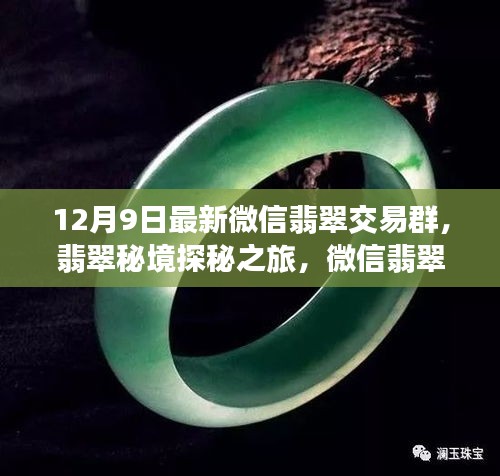 翡翠秘境探秘之旅，微信交易群新啟程與自然美景共舞