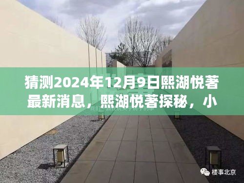 猜測2024年12月9日熙湖悅著最新消息，熙湖悅著探秘，小巷深處的獨特風味，2024年最新消息揭秘