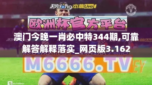 澳門今晚一肖必中特344期,可靠解答解釋落實(shí)_網(wǎng)頁版3.162