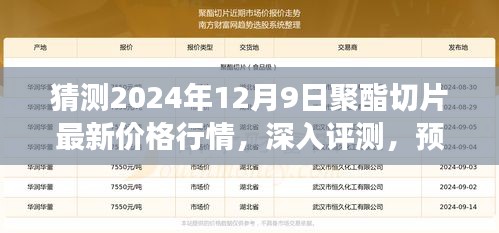 獨(dú)家解析，預(yù)測與深入評測2024年12月9日聚酯切片最新價格行情及市場洞察