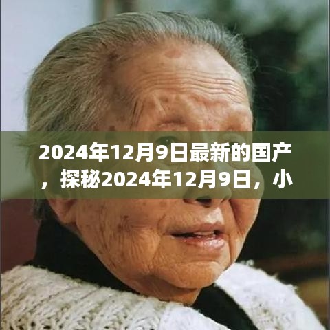 探秘隱藏瑰寶，特色小店奇遇之旅在2024年12月9日揭曉