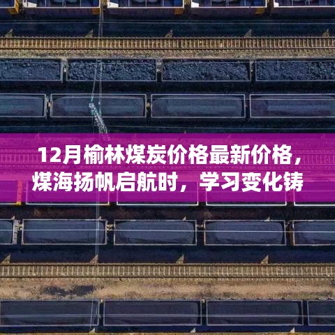 榆林煤炭最新價(jià)格動(dòng)態(tài)，鼓舞人心的學(xué)習(xí)變化與成就之旅