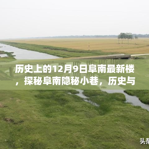 探秘阜南隱秘小巷，最新樓的歷史與美食交匯點(diǎn)——12月9日阜南最新樓揭秘之旅