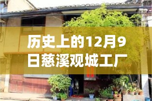 慈溪觀(guān)城工廠(chǎng)招聘盛況，舊日崗位與自然美景的探索之旅