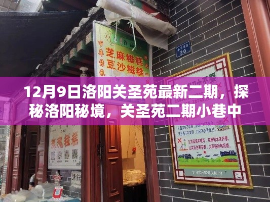 探秘洛陽關圣苑二期，小巷中的獨特風味小店