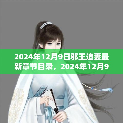 邪王追妻最新章節(jié)目錄揭秘，熱門(mén)小說(shuō)魅力與期待于2024年12月9日
