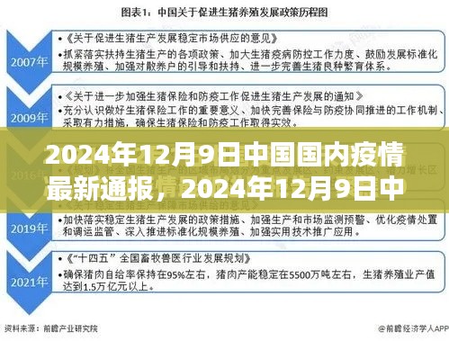 2024年12月9日中國(guó)疫情最新通報(bào)詳解，了解現(xiàn)狀與應(yīng)對(duì)措施