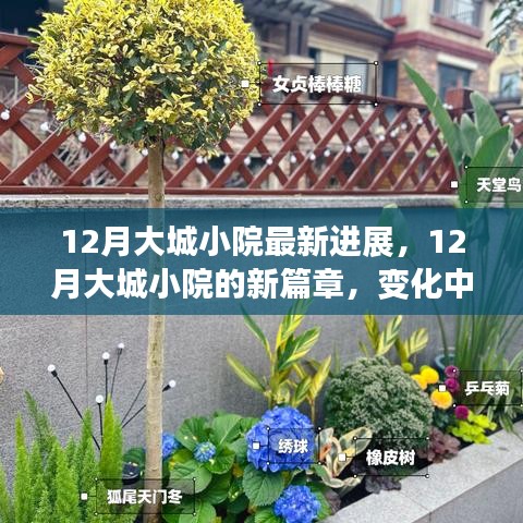 12月大城小院新進展，變化中的學(xué)習(xí)，自信與成就感的綻放