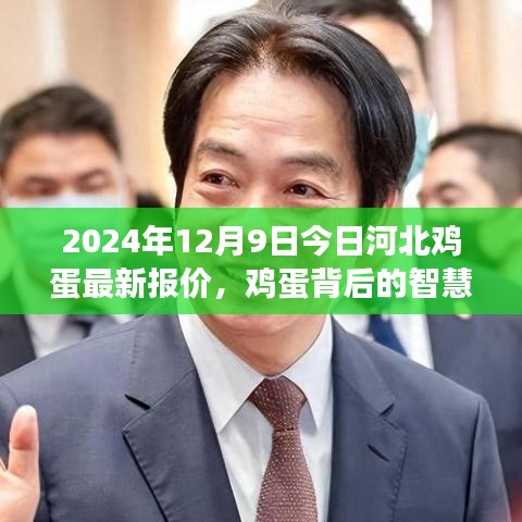 河北雞蛋最新報(bào)價(jià)背后的智慧，學(xué)習(xí)變化，自信成就未來(lái)（2024年12月9日）