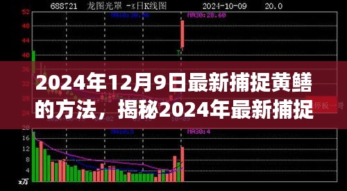 揭秘高效生態(tài)捕捉黃鱔新方法，2024年最新捕捉技巧分享。