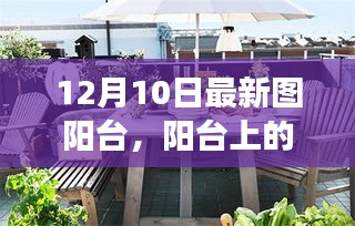 陽臺上的溫馨日常，陽光下的故事，12月10日的獨特時光