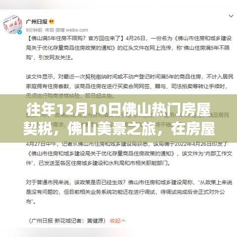 佛山房屋契稅與美景之旅，探尋內(nèi)心的寧靜與自然微笑之道