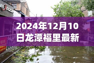 揭秘龍?zhí)陡＠铼?dú)特風(fēng)情與最新房?jī)r(jià)探索之旅（2024年12月10日最新房?jī)r(jià)更新）