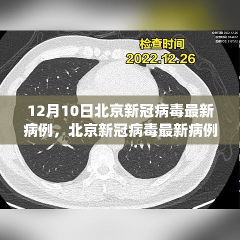 北京新冠病毒最新病例分析報(bào)告，深度解讀（截至12月10日）