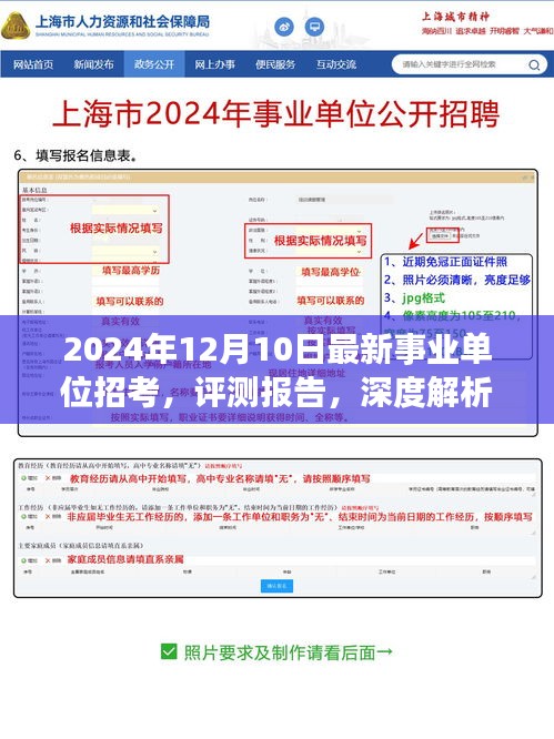 深度解析，最新事業(yè)單位招考測評報告（2024年12月版）