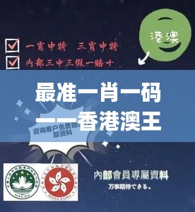 最準(zhǔn)一肖一碼一一香港澳王一王,數(shù)據(jù)資料解釋定義_高級款9.295