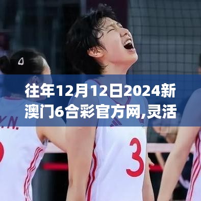 往年12月12日2024新澳門6合彩官方網(wǎng),靈活設(shè)計(jì)操作方案_HDR版8.222