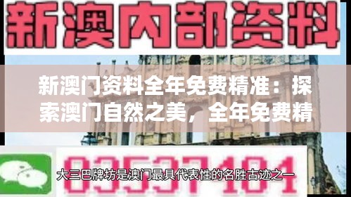 候鳥(niǎo)南飛 第4頁(yè)
