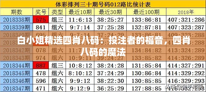 白小姐精選四肖八碼：投注者的福音，四肖八碼的魔法