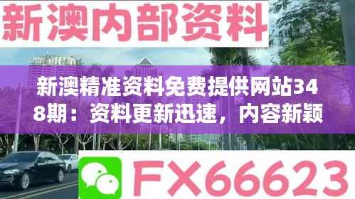 新澳精準(zhǔn)資料免費(fèi)提供網(wǎng)站348期：資料更新迅速，內(nèi)容新穎