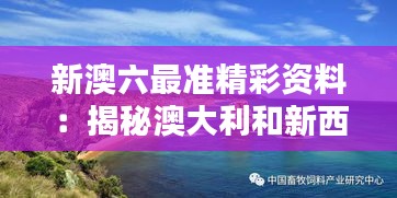新澳六最準精彩資料：揭秘澳大利和新西蘭背后的魅力