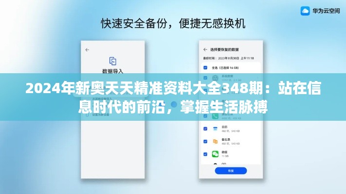 2024年新奧天天精準資料大全348期：站在信息時代的前沿，掌握生活脈搏