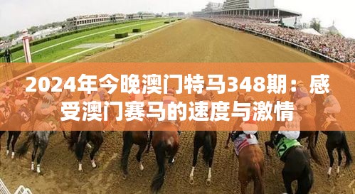 2024年今晚澳門(mén)特馬348期：感受澳門(mén)賽馬的速度與激情