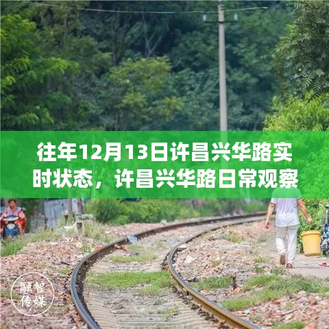 許昌興華路12月13日實(shí)時(shí)狀態(tài)回顧與日常觀察指南，獲取往年實(shí)時(shí)狀態(tài)解析