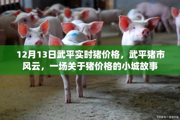武平豬市風(fēng)云，小城故事中的實(shí)時(shí)豬價(jià)格揭秘