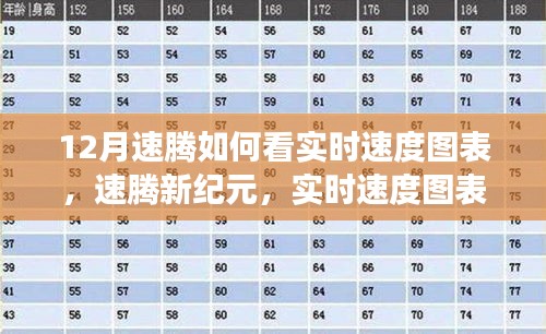 速騰新紀(jì)元，實(shí)時(shí)速度圖表科技重塑駕駛體驗(yàn)解析