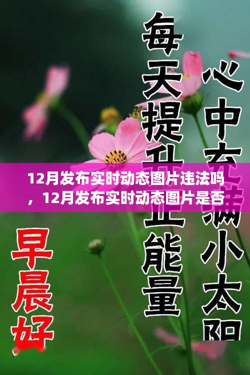 解讀，實(shí)時(shí)動(dòng)態(tài)圖片發(fā)布是否違法？關(guān)于12月發(fā)布實(shí)時(shí)動(dòng)態(tài)圖片的法規(guī)與案例分析