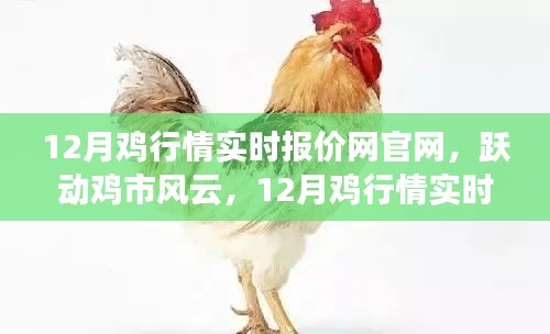 躍動雞市風(fēng)云，12月雞行情實時報價網(wǎng)官網(wǎng)引領(lǐng)成功之路，行情盡在掌握