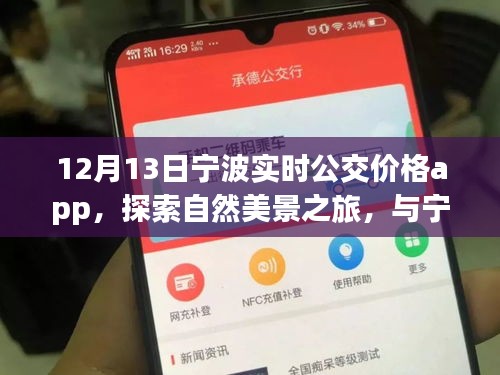 寧波實(shí)時(shí)公交價(jià)格app，探索自然美景與內(nèi)心寧?kù)o之旅