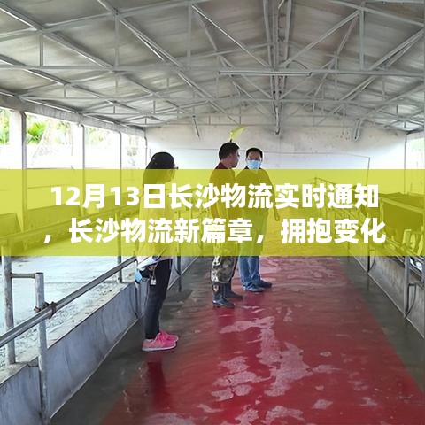 長(zhǎng)沙物流新篇章，擁抱變化，共舞奇跡