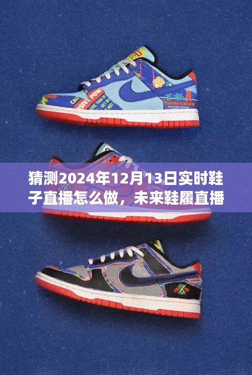 揭秘未來(lái)鞋履直播趨勢(shì)，打造成功的直播策略于2024年12月13日