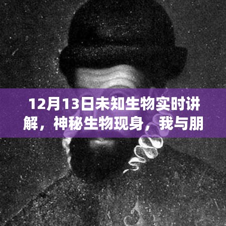 未知生物揭秘，神秘現(xiàn)身與溫馨探險之旅