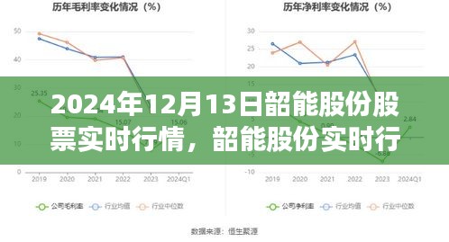 韶能股份實時行情解析，深度洞察股市動態(tài)，洞悉未來趨勢