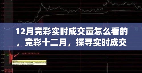 探尋競彩十二月實時成交量奧秘與影響，成交量分析與解讀