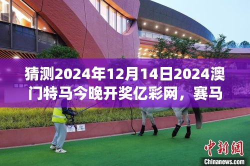 猜測2024年12月14日2024澳門特馬今晚開獎億彩網，賽馬概率游戲的冒險之旅