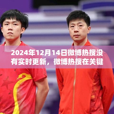2024年12月14日微博熱搜缺失實(shí)時(shí)更新，深入評(píng)測(cè)分析