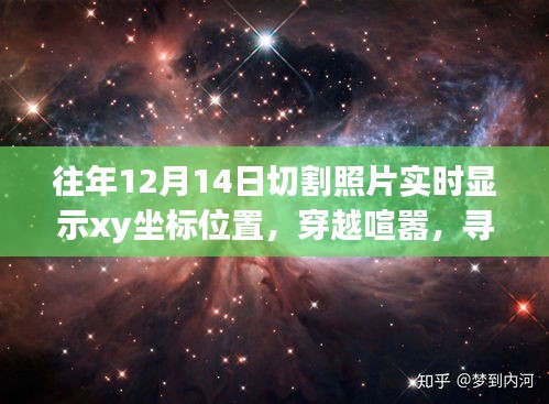 真獨(dú)簡貴 第4頁