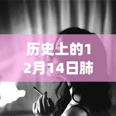 歷史上的十二月十四日，肺炎動(dòng)態(tài)壁紙與動(dòng)漫壁紙店的探秘之旅