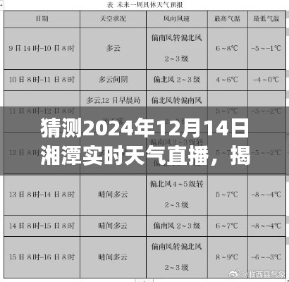 揭秘未來，湘潭天氣預(yù)報直播預(yù)測——湘潭實時天氣直播觀察（2024年12月14日）