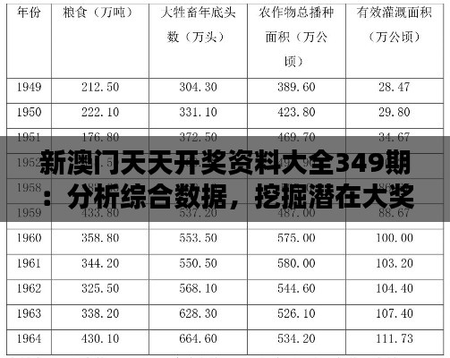 新澳門天天開獎資料大全349期：分析綜合數據，挖掘潛在大獎