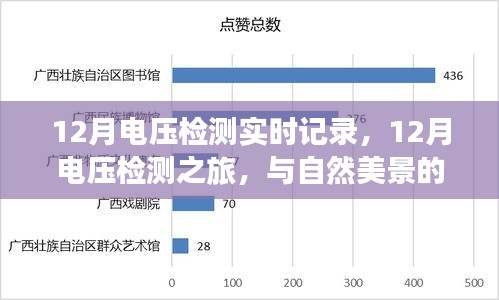 12月電壓檢測(cè)之旅，實(shí)時(shí)記錄與自然美景的交融