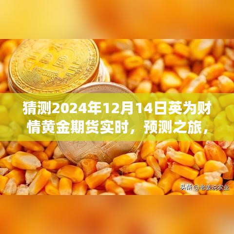 解讀英為財(cái)情黃金期貨市場展望，預(yù)測黃金期貨未來走勢，探尋黃金市場趨勢——聚焦2024年12月14日實(shí)時(shí)動態(tài)分析之旅