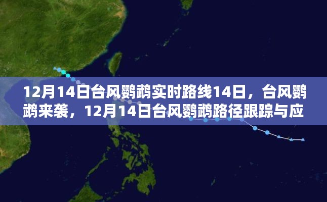 臺(tái)風(fēng)鸚鵡來襲，應(yīng)對(duì)指南與實(shí)時(shí)路徑跟蹤（初學(xué)者與進(jìn)階用戶版）