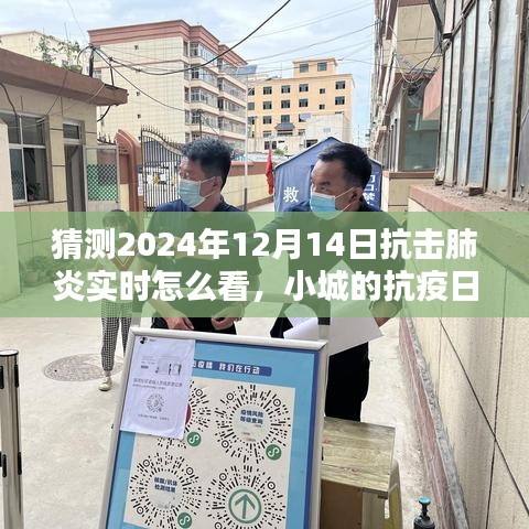 2024年12月14日小城抗疫日記，抗擊肺炎實(shí)時(shí)觀察與溫馨抗疫時(shí)光